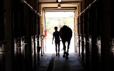 Equipación para montar a caballo