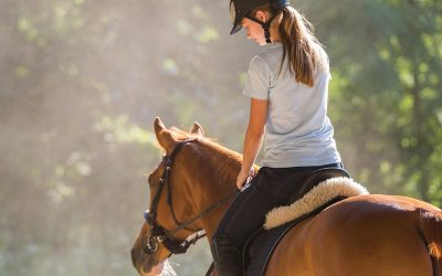 ¿Cómo montar a caballo?