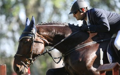 Avance CSA Primavera 2019