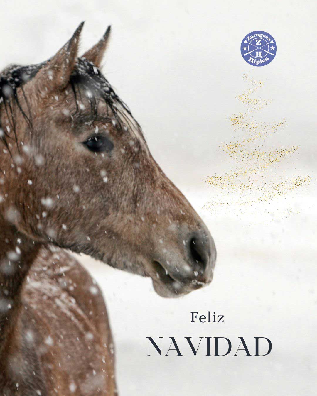 Feliz Navidad 2025 Feliz Navidad 2025