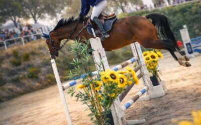 Avance CSA Primavera 2026 Zaragoza Hípica