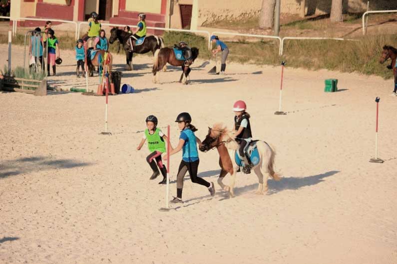 Talleres educativos con caballos y ponis