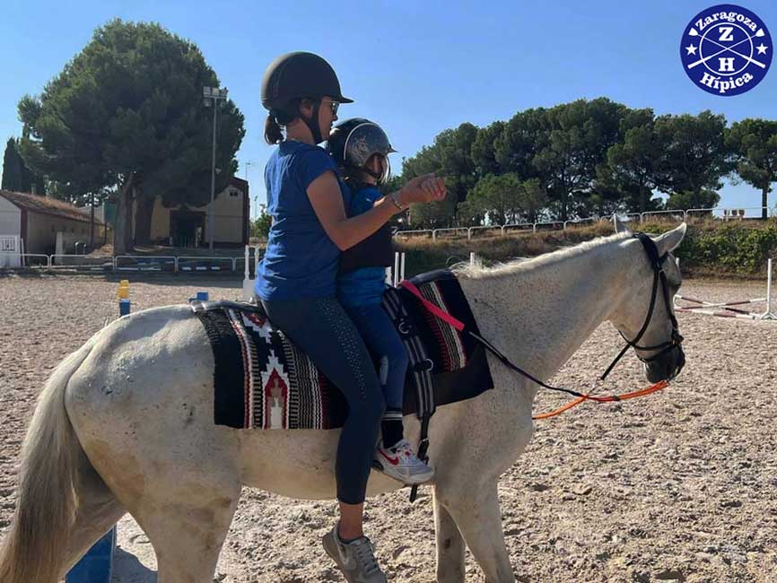 ¿Qué son las Intervenciones Asistidas con Caballos y para qué sirven?