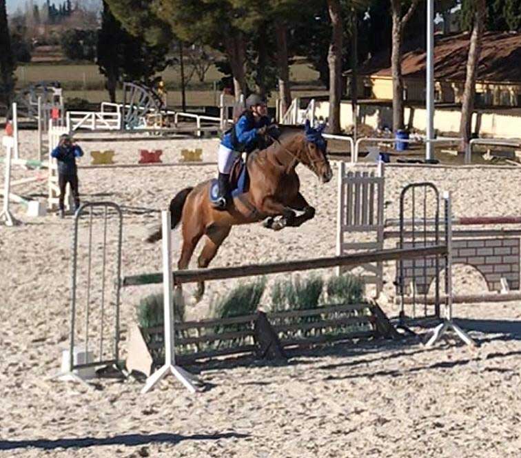 caballos en alquiler para preparar las pruebas de técnico deportivo en equitación caballos en alquiler para preparar las pruebas de técnico deportivo en equitación